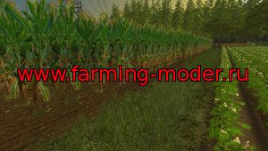Мод "NEW Maize Texture V 1.0" для Farming Simulator 2015