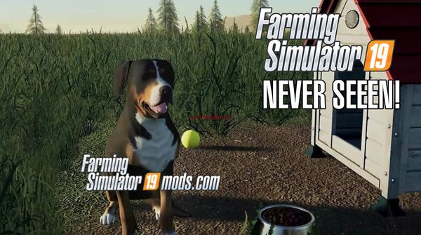 Never seen screenshots of Farming Simulator 19